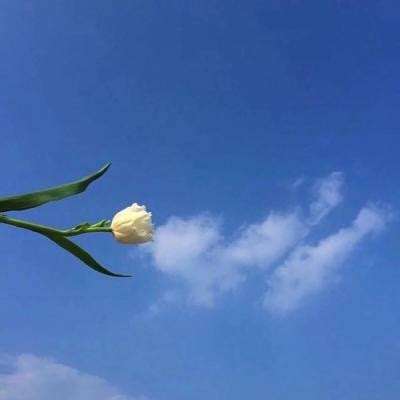 果盘三界天骄手游下载